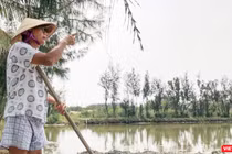 Ông Nguyễn Tiền, trú thôn Vạn Lăng, xã Cẩm Thanh, TP Hội An chưa thoả đáng với số tiền đền bù và chuyển đổi nghề nghiệp khi bị thu hồi hơn 6.000m2 diện tích nuôi trồng thỉu sản