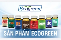 Eco Pharma - nhà phân phối độc quyền sâm Alipas Platinum, sâm Angela Gold: Doanh thu nghìn tỷ, lợi nhuận mỏng tang...