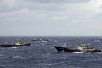 Trung Quốc tổ chức các đội tàu đánh bắt viễn dương (Ảnh: Dongfang).