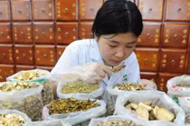 Truy xuất nguồn gốc dược liệu, bài toán nan giải đối với cơ quan quản lý