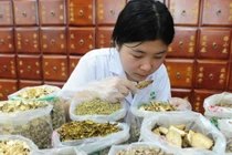 Truy xuất nguồn gốc dược liệu, bài toán nan giải đối với cơ quan quản lý