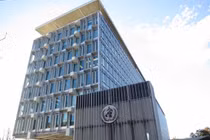 Người phát ngôn WHO cho rằng hiện tượng bệnh nhân đã khỏi bị tái dương tính với SARS-CoV-2 là do các tế bào chết bị thải loại khỏi phổi...(Ảnh: DF).