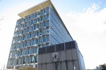 Người phát ngôn WHO cho rằng hiện tượng bệnh nhân đã khỏi bị tái dương tính với SARS-CoV-2 là do các tế bào chết bị thải loại khỏi phổi...(Ảnh: DF).