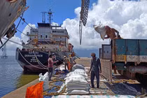 Ấn Độ đang xem xét giảm 80% lượng gạo xuất khẩu để chống lạm phát trong nước (Ảnh: Reuters)