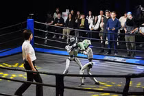 Các võ sĩ robot thi đấu quyết liệt trên võ đài. Ảnh: STCN.