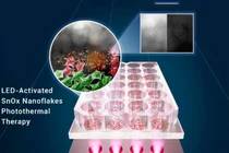Liệu pháp này nung nóng làm chết tế bào ung thư trong khi tế bào khỏe mạnh được bảo vệ. Ảnh: ACSNano. 