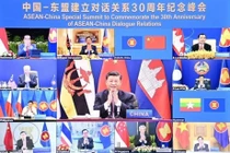 Ông Tập Cận Bình chủ trì Hội nghị thượng đỉnh trực tuyến kỉ niệm 30 năm lập quan hệ đối thoại Trung Quốc - ASEAN (Ảnh: Dwnews).