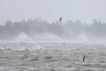 Bão Yagi đổ bộ vào Văn Xương, Hải Nam chiều 6/9 (Ảnh: Xinhua).