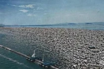 Một trong ba bức ảnh được ông Trump đăng tải được xác định là ảnh đã qua chỉnh sửa. Ảnh: NetEase.