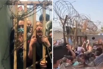 Hình ảnh các bà mẹ Afghanistan ném con qua hàng rào nhờ cứu giúp gây chấn động (Ảnh: TGNB).