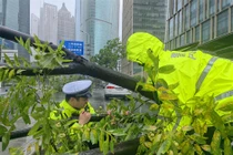 Bão Bebinca vượt qua bão Gloria, trở thành cơn bão mạnh nhất đổ bộ vào thành phố Thượng Hải của Trung Quốc kể từ năm 1949 (Ảnh: Shanghai Daily)