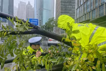 Bão Bebinca vượt qua bão Gloria, trở thành cơn bão mạnh nhất đổ bộ vào thành phố Thượng Hải của Trung Quốc kể từ năm 1949 (Ảnh: Shanghai Daily)