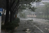 Trước bão Yagi, người dân đã phải hứng chịu những trận siêu bão lịch sử gây thiệt hại lớn về người và tài sản (Ảnh: Xinhua).