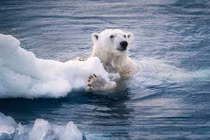 Hiện tượng băng tan do ảnh hưởng bởi biến đổi khí hậu. Ảnh: Zhihu