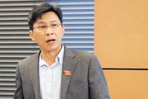 Đại biểu Nguyễn Việt Dũng phát biểu tại tổ sáng 8/11. Ảnh: HT