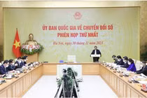 ảnh minh họa. nguồn Internet