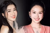 Hai con dâu tỷ phú Phạm Nhật Vượng gồm Nguyễn Phương Nhi, Bùi Lan Anh là cổ đông sáng lập của Công ty CP Vin New Horizon.