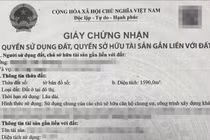 Bản sao sổ đỏ