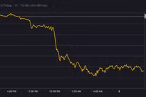 Giá vàng, Bitcoin hôm nay 8/1: Bitcoin lên đỉnh rồi lao dốc