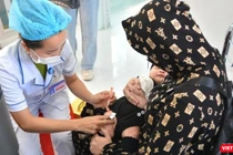 Bộ Y tế dự báo bệnh dại, sởi và cúm gia cầm có nguy cơ tăng cao