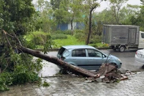 Ô tô bị thiệt hại do bão Yagi gây ra. Ảnh: X.L