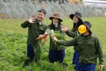 Kẹo Kera của Hằng Du Mục vi phạm: Bị phạt 125 triệu đồng, thu hồi bản tự công bố sản phẩm