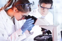 Nghị định 231/2025/NĐ-CP mở lối cho nhân tài trong khoa học, công nghệ và chuyển đổi số quốc gia