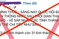 Đà Nẵng là một trong 6 thành phố trực thuộc Trung ương nhưng tin giả cho rằng sẽ nhập với tỉnh Quảng Nam và đặt trụ sở ở Tam Kỳ (Quảng Nam). 