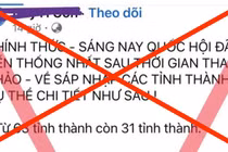 Đà Nẵng là một trong 6 thành phố trực thuộc Trung ương nhưng tin giả cho rằng sẽ nhập với tỉnh Quảng Nam và đặt trụ sở ở Tam Kỳ (Quảng Nam). 