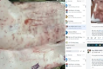 Sóc Trăng lập đoàn kiểm tra các điểm chăn nuôi, gồm C.P. Việt Nam sau tố cáo trên Facebook