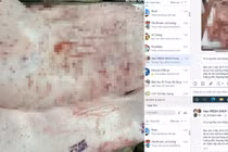 Sóc Trăng lập đoàn kiểm tra các điểm chăn nuôi, gồm C.P. Việt Nam sau tố cáo trên Facebook