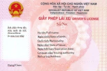 Mẫu giấy phép lái xe mới do Bộ Công an cấp có gì đặc biệt?