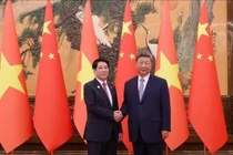 Chủ tịch nước Lương Cường hội đàm với Tổng Bí thư, Chủ tịch nước Trung Quốc Tập Cận Bình