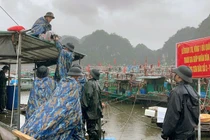 Ban Bí thư yêu cầu không chủ quan, tăng cường kiểm tra, ứng phó với bão số 3