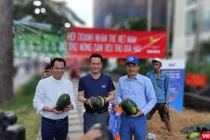 Nhiều doanh nghiệp và cá nhân tham gia hỗ trợ nông dân Gia Lai tiêu thụ 20 tấn dưa hấu trong chiều 11/2 (Ảnh: Hòa Bình) 