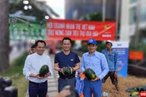 Nhiều doanh nghiệp và cá nhân tham gia hỗ trợ nông dân Gia Lai tiêu thụ 20 tấn dưa hấu trong chiều 11/2 (Ảnh: Hòa Bình) 