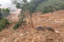 Vụ sạt lở kinh hoàng mờ sáng hôm nay ở Sơn Long xé toạc cả một khu vực rộng khoảng 1ha - Ảnh: T.V