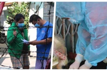 Toàn bộ xét nghiệm của F1, F2 trên địa bàn TP.HCM đều âm tính (Ảnh: Hải Linh, Hoà Bình ghép)