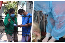 Toàn bộ xét nghiệm của F1, F2 trên địa bàn TP.HCM đều âm tính (Ảnh: Hải Linh, Hoà Bình ghép)