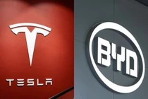 Xe điện BYD bị Tesla vượt mặt ngay trên "sân nhà"