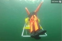 Robot cứ những người đuối nước (Ảnh: New Atlas)