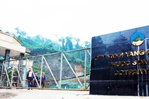 Công ty TNHH vàng Phước Sơn (thuộc Tập đoàn Besra tại Quảng Nam) 