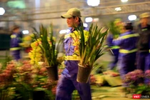 Chủ vườn lan đã bất ngờ tặng các anh chị lao công những giò lan tiền triệu là hình ảnh đẹp sau đêm giao thừa ở Đà Nẵng