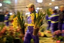 Chủ vườn lan đã bất ngờ tặng các anh chị lao công những giò lan tiền triệu là hình ảnh đẹp sau đêm giao thừa ở Đà Nẵng