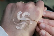 Điện cực mềm linh hoạt cho phẫu thuật não, điều trị bệnh thần kinh xâm lấn tối thiểu. Ảnh EPFL / Alain Herzog