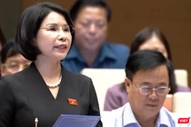 ĐB Trần Thị Nhị Hà cho rằng đây là dự án luật khó, tác động đến các lĩnh vực kinh tế, đời sống xã hội, đặc biệt đến công tác chăm sóc sức khỏe nhân dân.