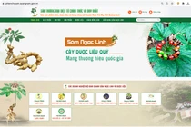 Giao diện sàn thương mại điện tử chuyên quảng bá về sâm Ngọc Linh và các sản phẩm dược liệu, nông sản đặc trưng trên địa bàn tỉnh Quảng Nam