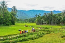 Một góc làng cổ Lộc Yên, huyện Tiên Phước, tỉnh Quảng Nam (ảnh UBND huyện Tiên Phước)