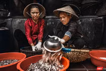 Nghệ nhân làng nghề nước mắm Nam Ô (Đà Nẵng) đong cá chuẩn bị cho mẻ mắm mới