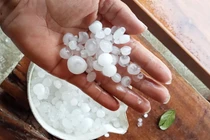 Hạt mưa đá được người dân gom lại (ảnh Ngok Linh)